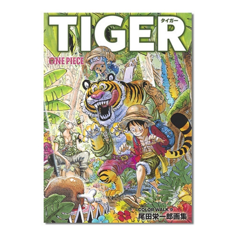 Stationery Books - One Piece İllüstrasyon Kitabı, Renkli Yürüyüş